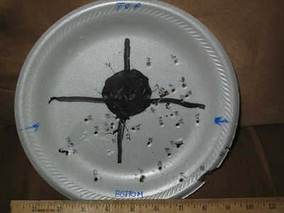 Plate Target